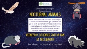 Nocturnal Animals wi